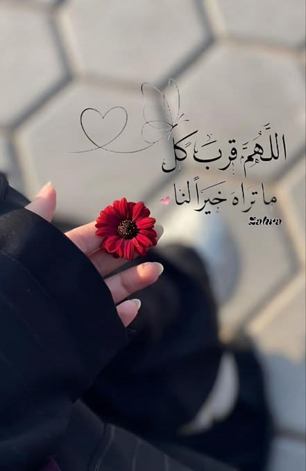 Moukren Mano_zafOR