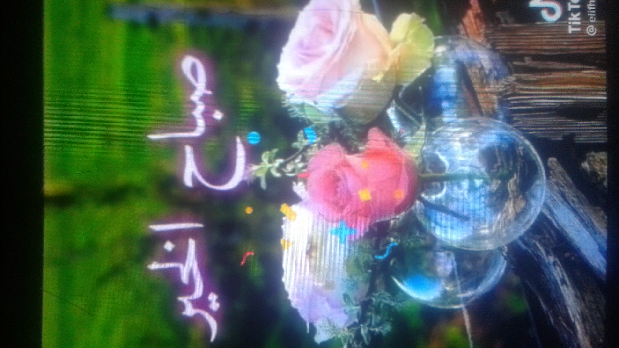 ��� ��� ���_0XtuH