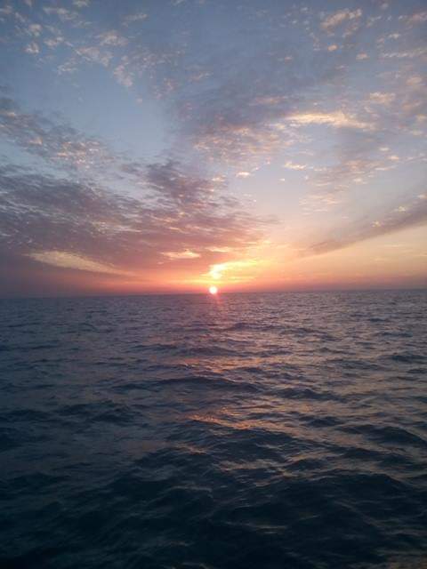 Hajhassen Jamil__vOdU