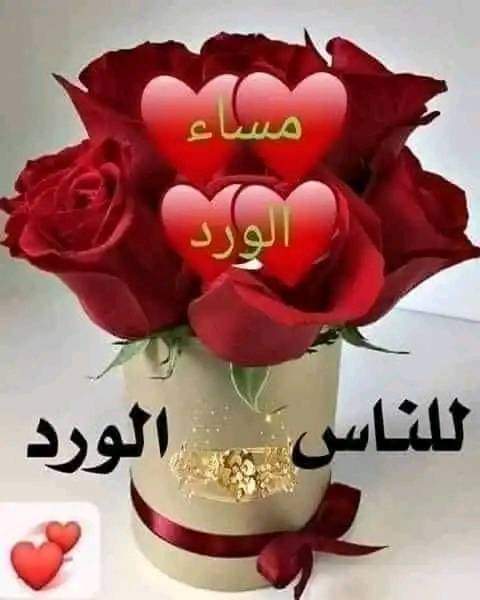 Ameen Ahmed_MG6Vu