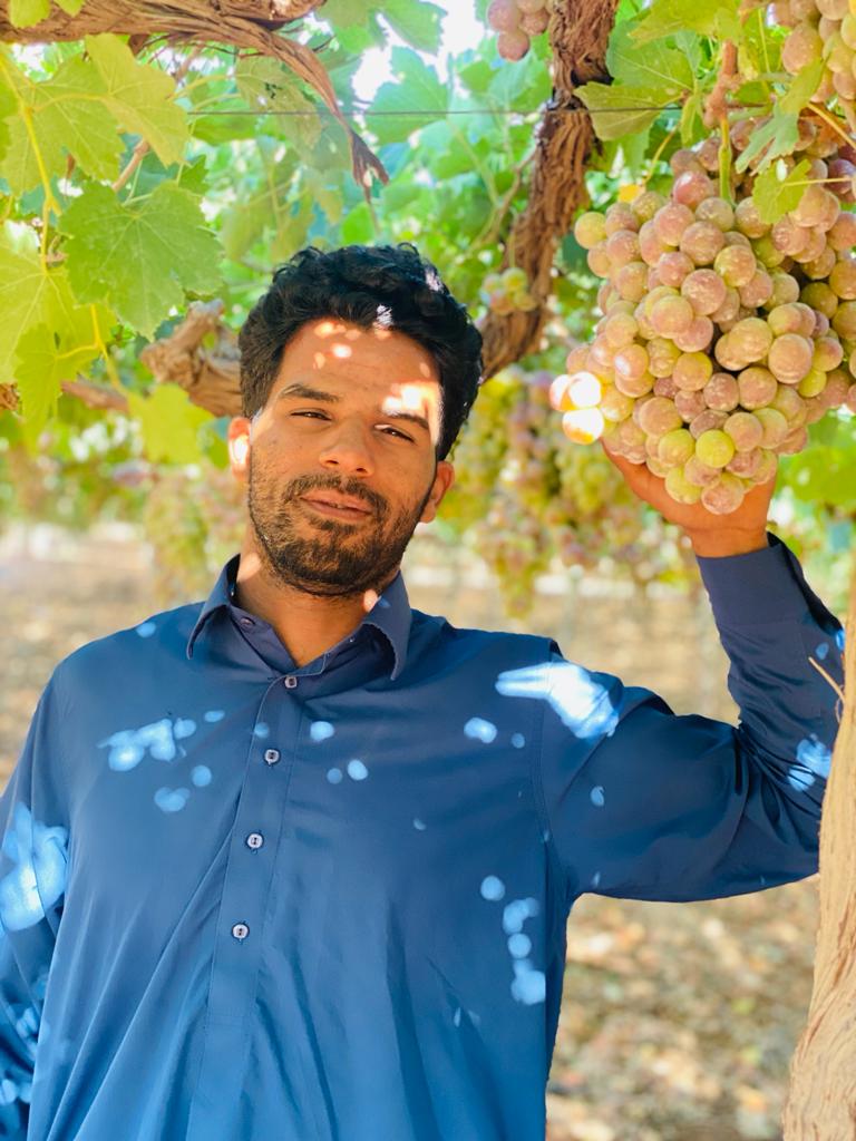 ���� �������_PM1kM