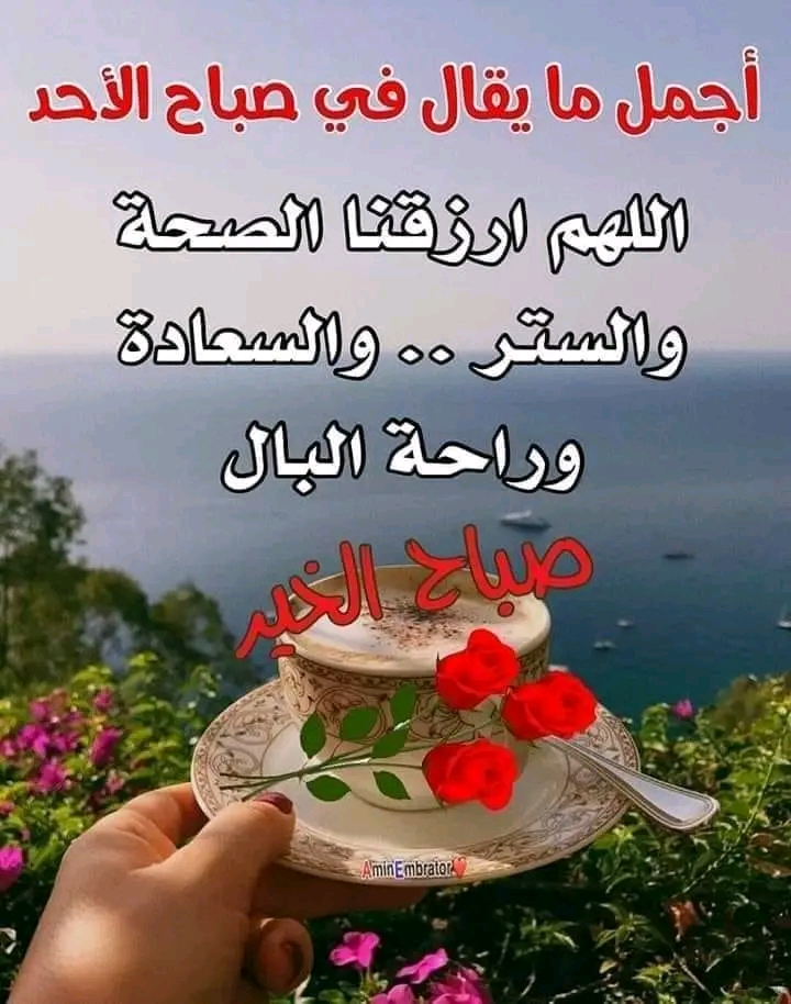 Mokhtar Slamat_p25EG