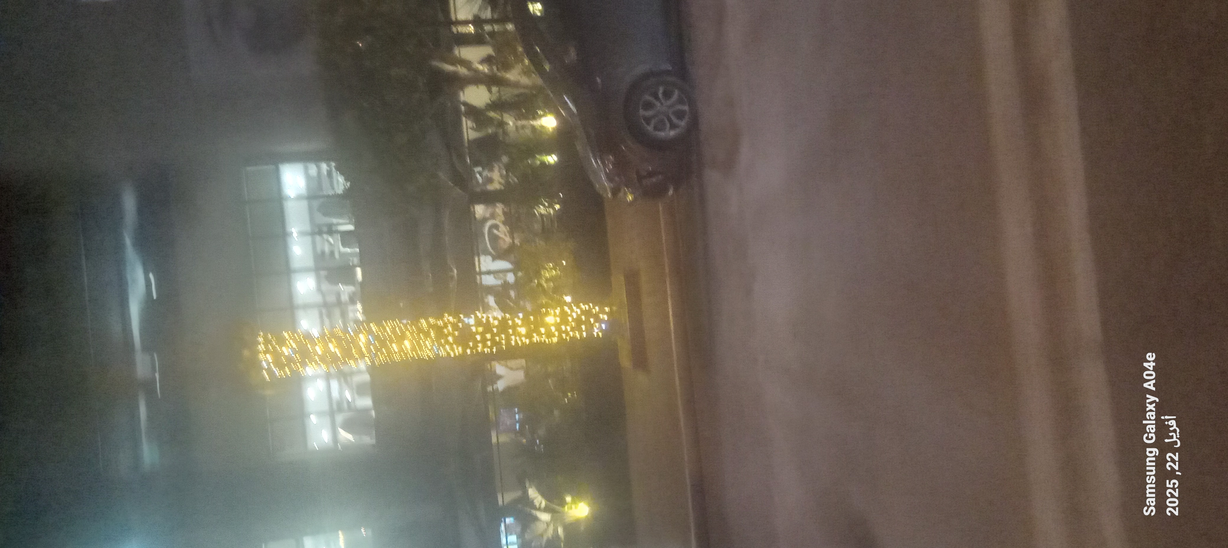 ���� ����