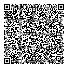 Hanen Ben amer_NLwBi