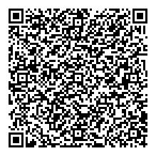 ���� ������_FESsA